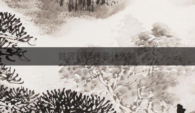 姓氏八字代表什么命