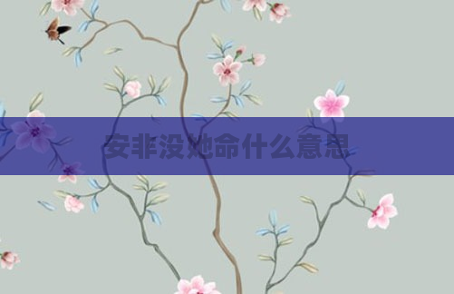 安非没她命什么意思