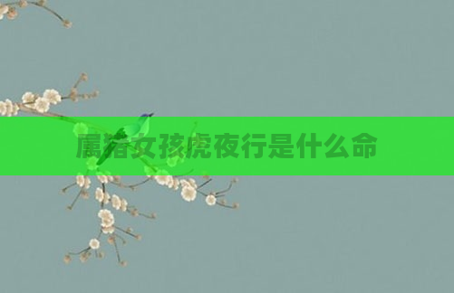 属猪女孩虎夜行是什么命