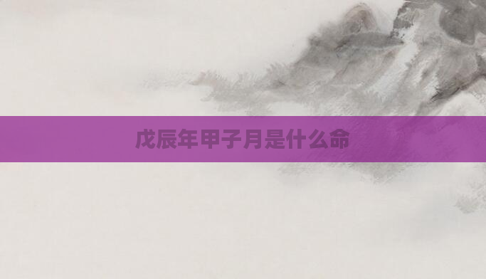 戊辰年甲子月是什么命