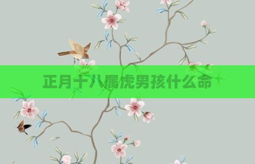 正月十八属虎男孩什么命