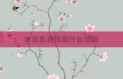 水命生肖狗戴什么饰物