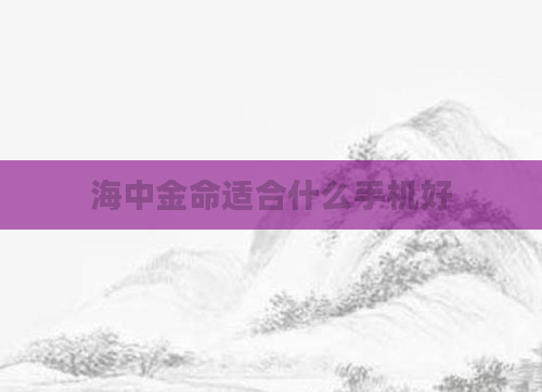 海中金命适合什么手机好