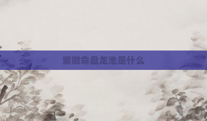 紫微命盘龙池是什么