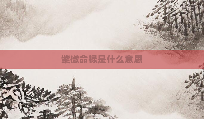 紫微命禄是什么意思