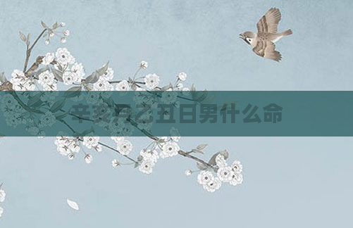 辛亥月乙丑日男什么命