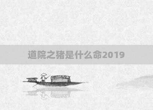 道院之猪是什么命2019