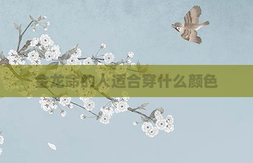 金龙命的人适合穿什么颜色