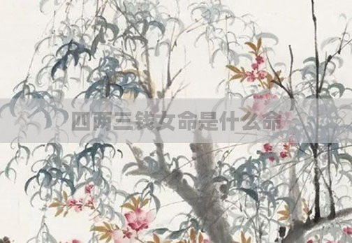 四两三钱女命是什么命
