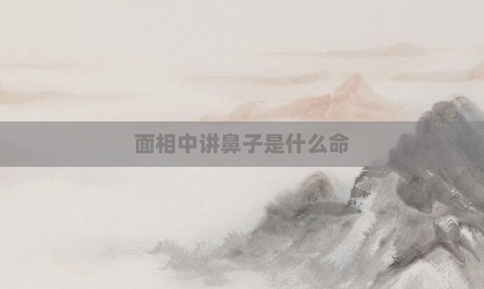 面相中讲鼻子是什么命