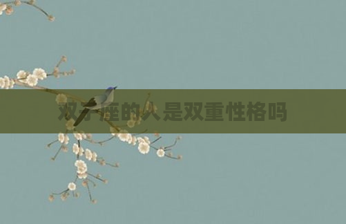 双子座的人是双重性格吗