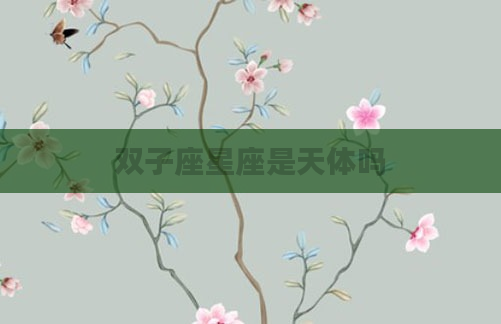 双子座星座是天体吗