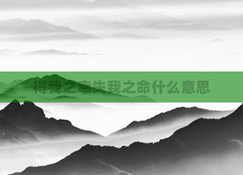 得我之幸失我之命什么意思