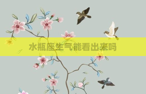 水瓶座生气能看出来吗