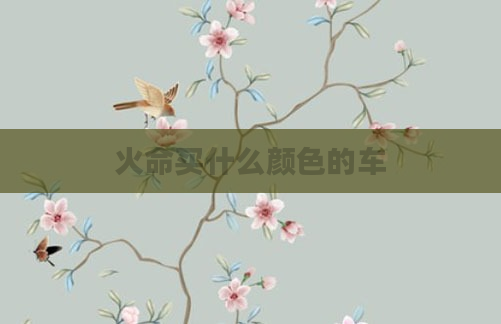 火命买什么颜色的车