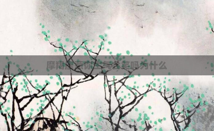 摩羯座惹你生气会笑吗为什么