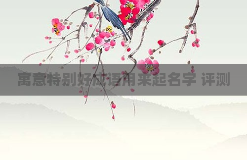 寓意特别好成语用来起名字 评测