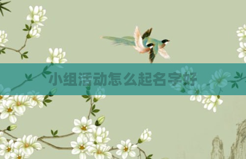 小组活动怎么起名字好