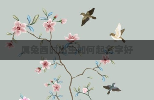 属兔酉时出生如何起名字好