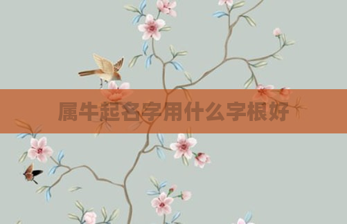 属牛起名字用什么字根好