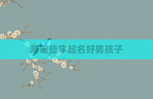 用哪些字起名好男孩子