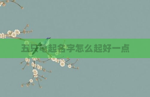 五只龟起名字怎么起好一点