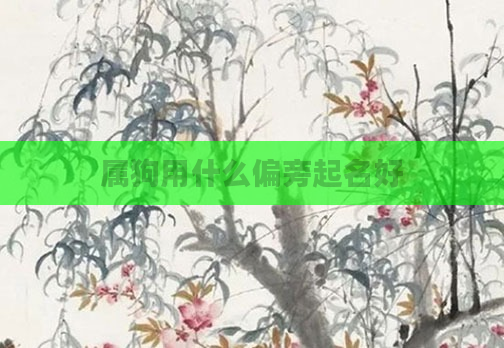 属狗用什么偏旁起名好