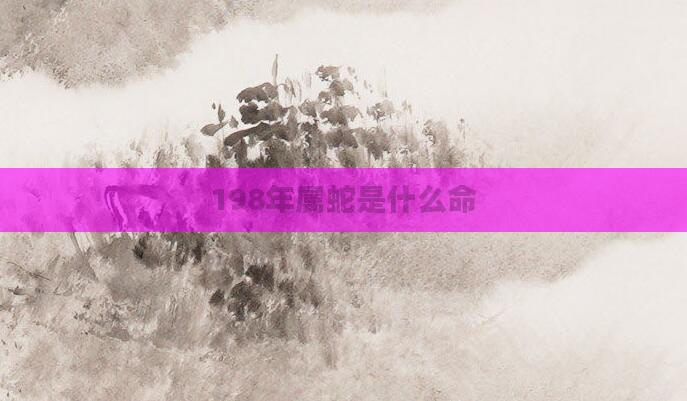 198年属蛇是什么命