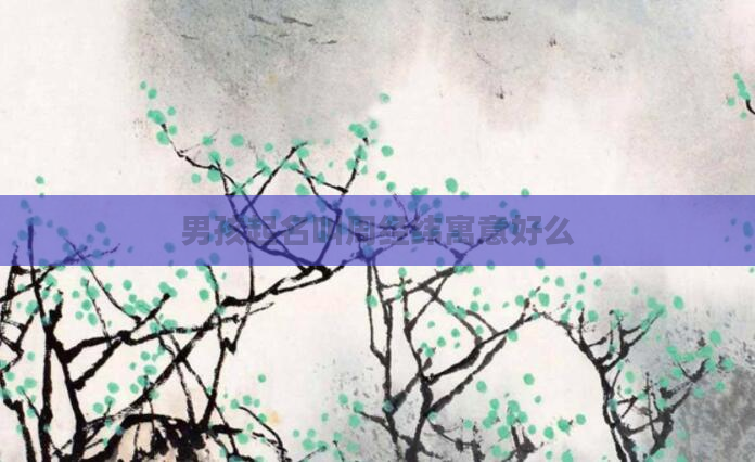 男孩起名叫周经纬寓意好么