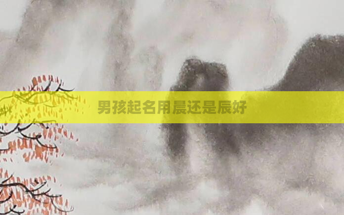 男孩起名用晨还是辰好