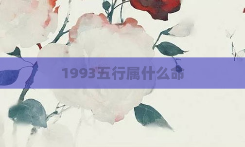 1993五行属什么命