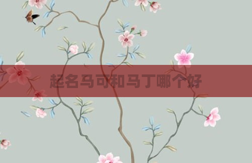 起名马可和马丁哪个好