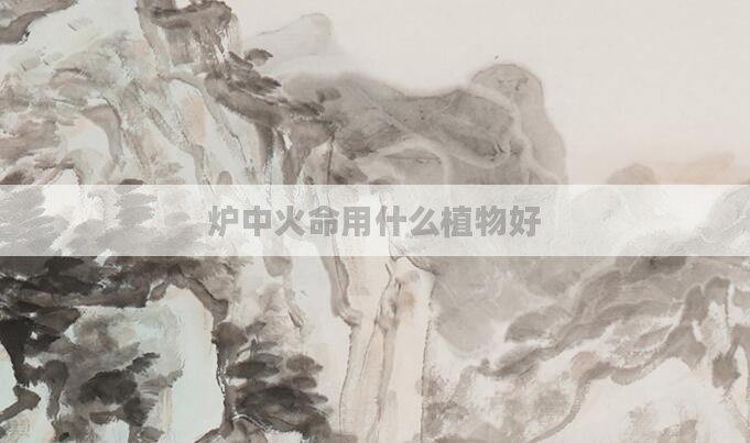 炉中火命用什么植物好