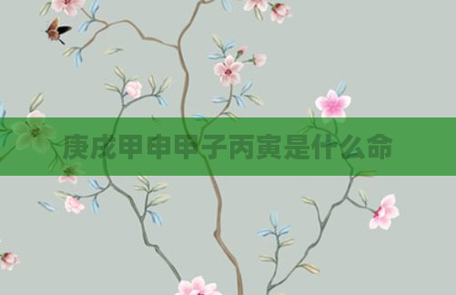 庚戌甲申甲子丙寅是什么命