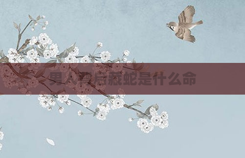 男人背后藏蛇是什么命