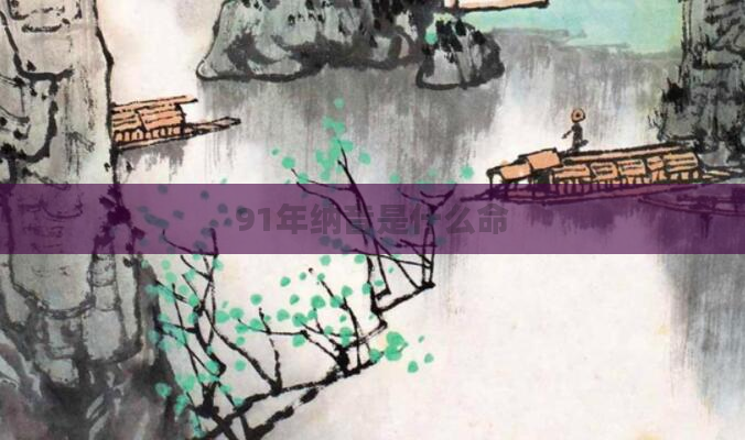 91年纳音是什么命