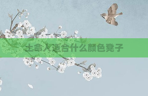 土命人适合什么颜色凳子