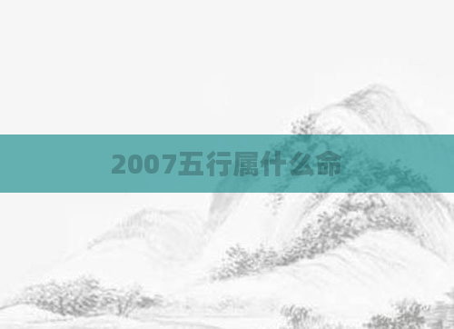 2007五行属什么命