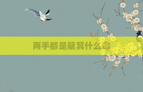 两手都是簸箕什么命