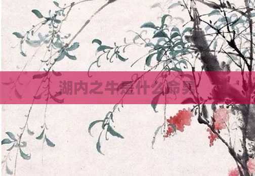 湖内之牛是什么命男