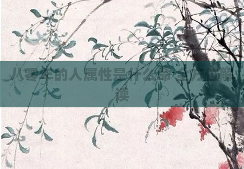 八零年的人属性是什么命 全方位解读