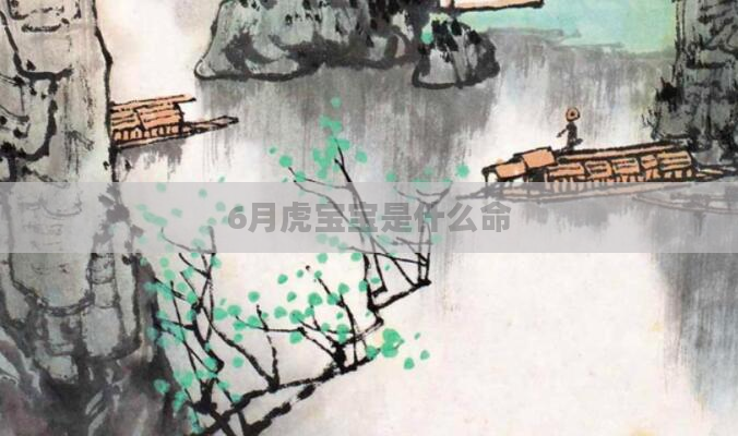 6月虎宝宝是什么命