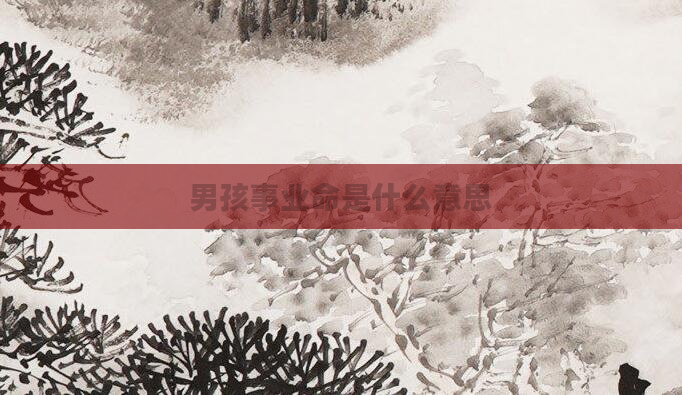 男孩事业命是什么意思