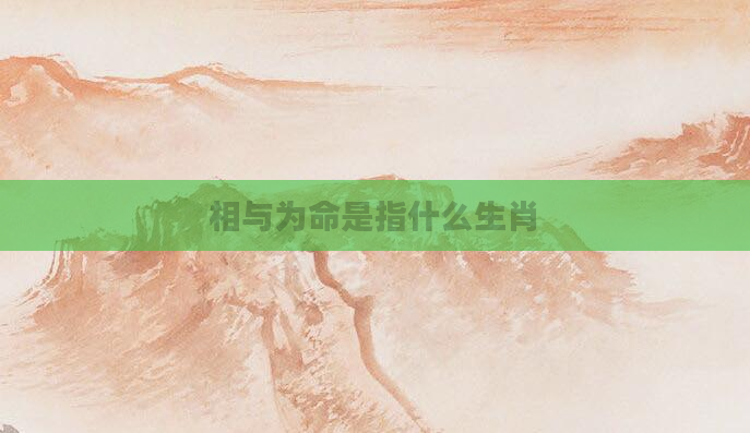 相与为命是指什么生肖