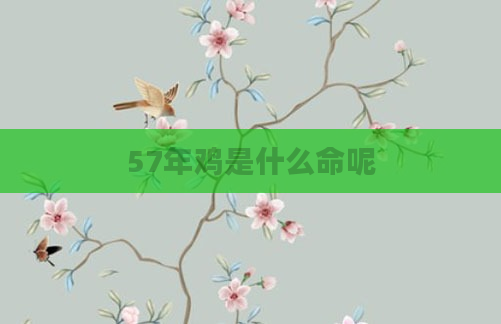 57年鸡是什么命呢