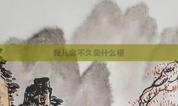 我儿命不久矣什么梗