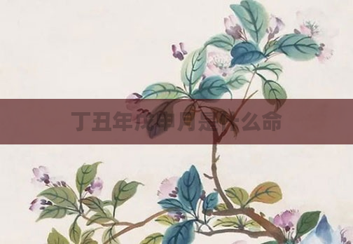 丁丑年戊申月是什么命