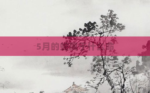 5月的蛇属于什么命
