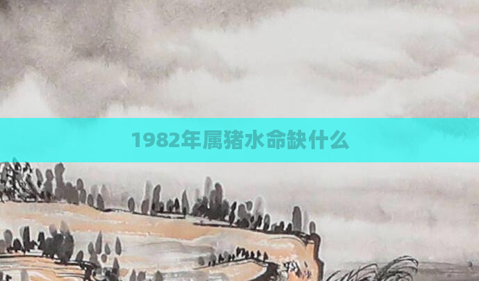 1982年属猪水命缺什么
