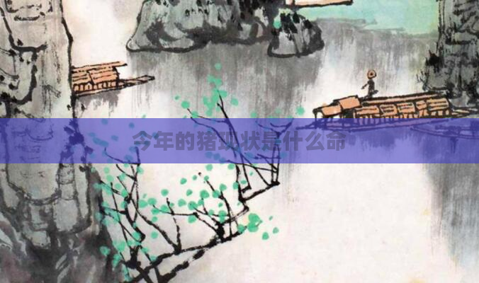今年的猪现状是什么命